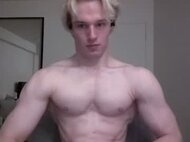 thelevimeyers